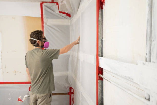 Best Industrial Mold Remediation  in Shenandoah, IA