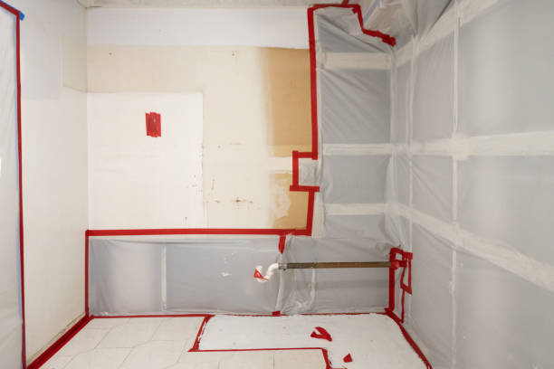 Best Forensic Mold Investigation  in Shenandoah, IA