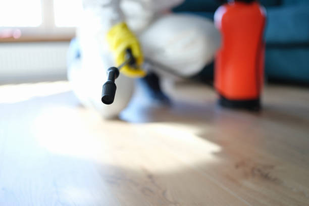 Best HVAC Mold Inspection and Cleaning  in Shenandoah, IA