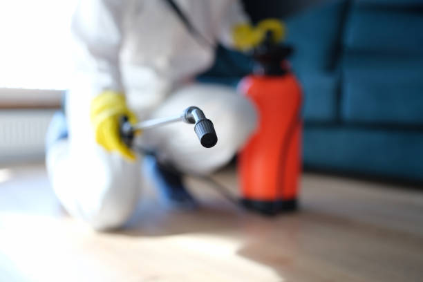 Best Dehumidification Services  in Shenandoah, IA