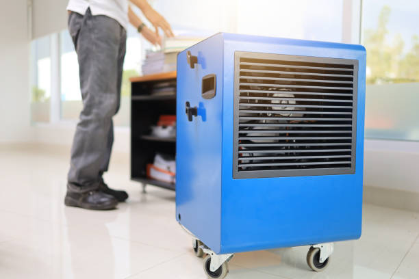 Best Mold Prevention Services  in Shenandoah, IA