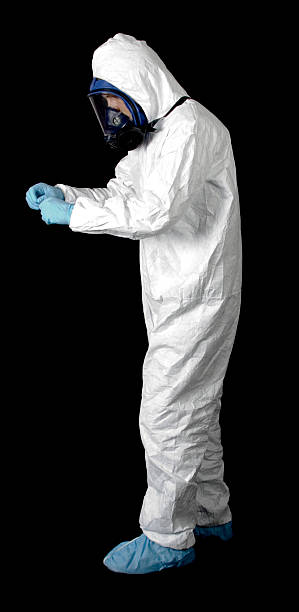 Best Crawl Space Mold Remediation  in Shenandoah, IA