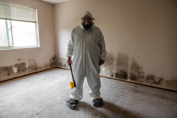 Best Residential Mold Inspection & Testing  in Shenandoah, IA