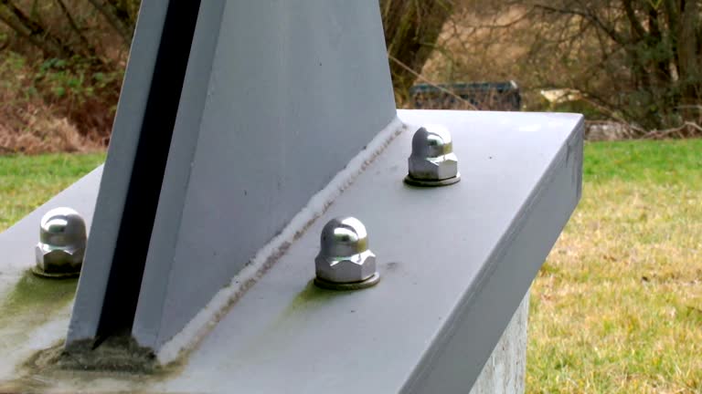 Biohazard Mold Removal in Shenandoah, IA
